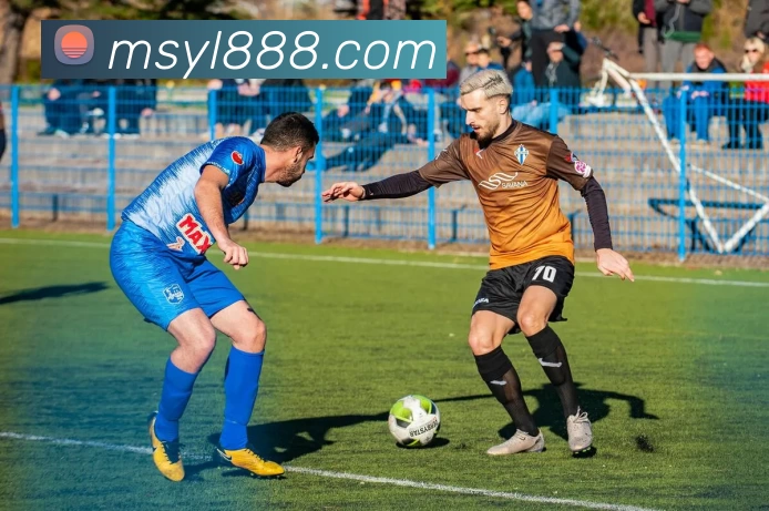 开云网页版·官方版在线登入 - 开云(中国)APP 体育赛事宣传图